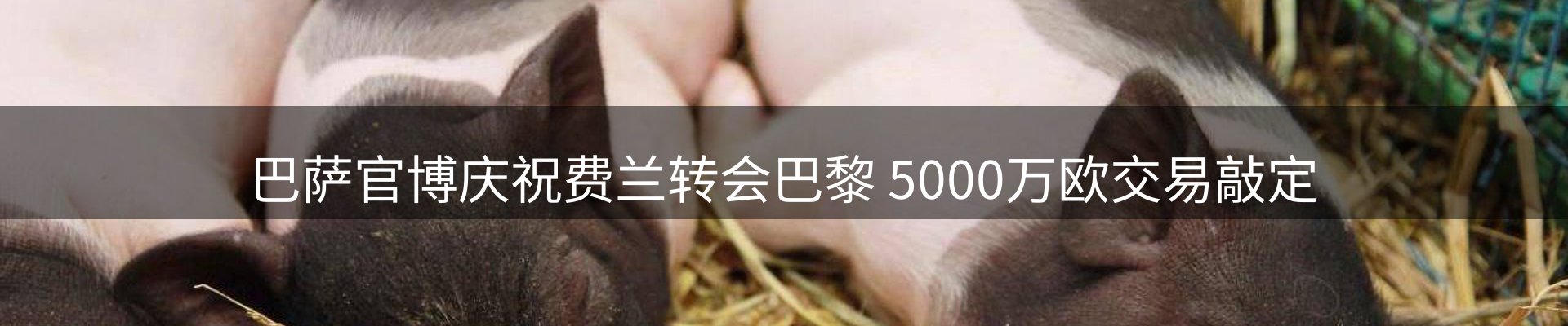 体育资讯