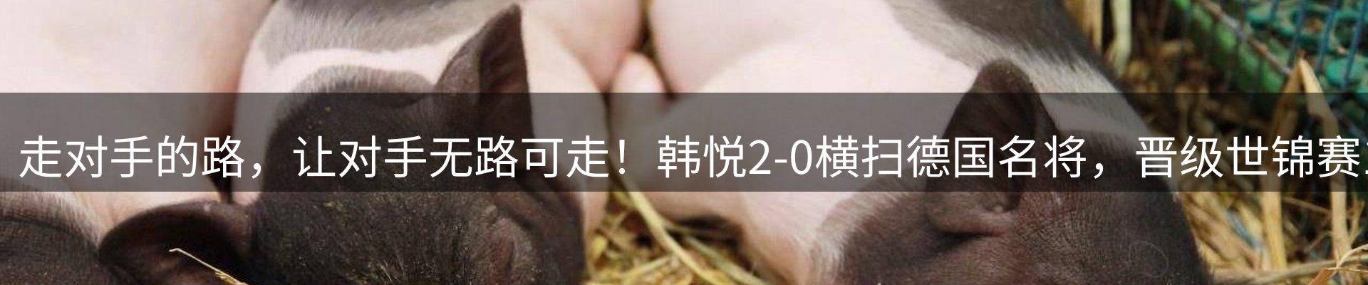体育资讯